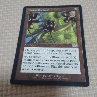 マジックザギャザリング(マジック：ザ・ギャザリング)の水蓮の花 MTG マジックザギャザリング(シングルカード)