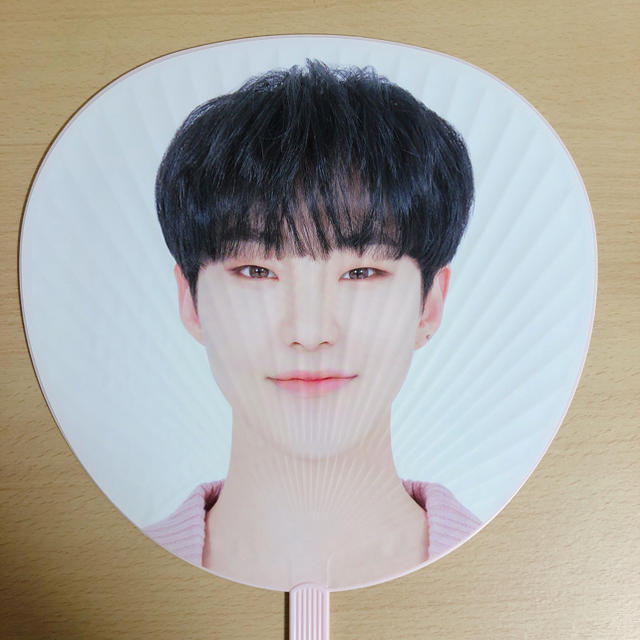 SEVENTEEN セブチ ホシ うちわ seventeen セブチ ホシ うちわ セット