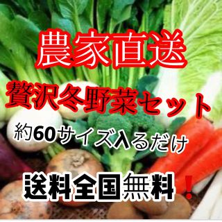 お値下げ即購入様専用品(野菜)