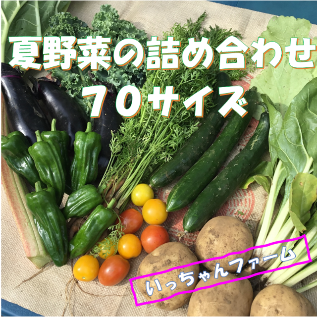 夏～秋野菜の詰め合わせ　７０サイズ　【クール便】　９月２６～２７日発送 食品/飲料/酒の食品(野菜)の商品写真