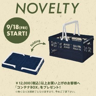 ロデオクラウンズワイドボウル(RODEO CROWNS WIDE BOWL)のコンテナBOX2個とバースデーゴザ2枚セットですセット❗️プチプチ巻き梱包で発送(セット/コーデ)