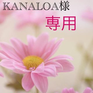 KANALOA様専用❤️ピンク、オレンジ、ブルー 20枚、グリーン10枚 リピ割(宛名シール)