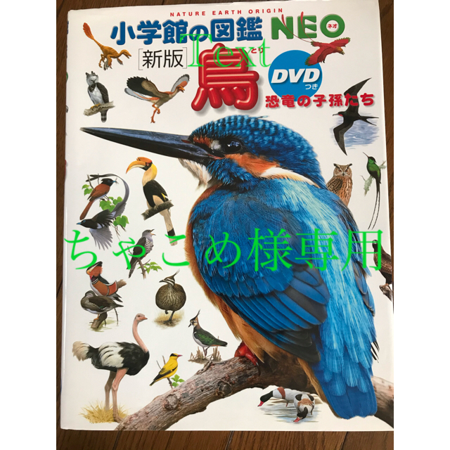 小学館(ショウガクカン)の小学館の図鑑 NEO 鳥 エンタメ/ホビーの本(語学/参考書)の商品写真