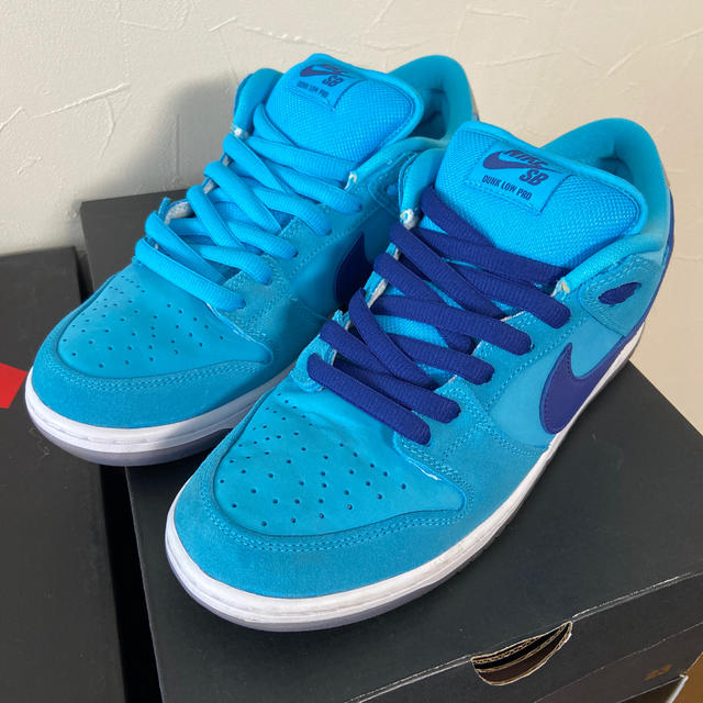 SB DUNK LOW PRO "BLUE FURY"