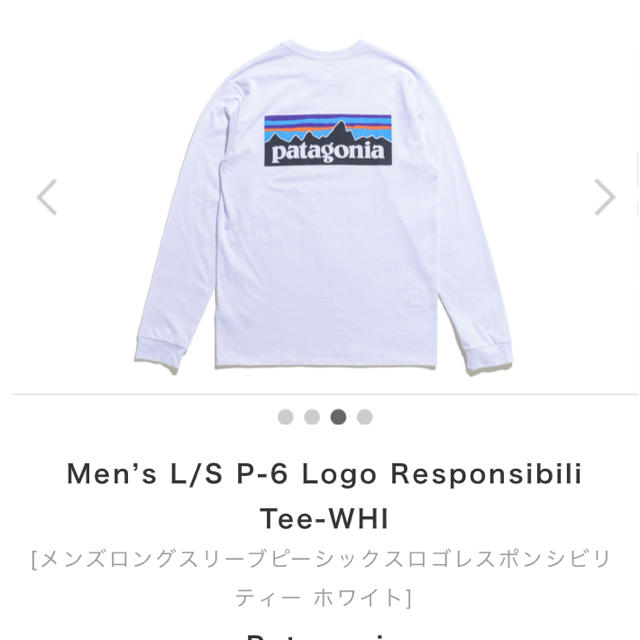 patagonia(パタゴニア)の新品！Patagonia ロンT Mサイズ メンズのトップス(Tシャツ/カットソー(七分/長袖))の商品写真