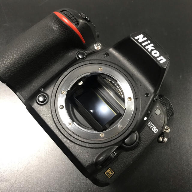 デジタル一眼Nikon D750 おまけ付き(L型プレート・シューカバー)