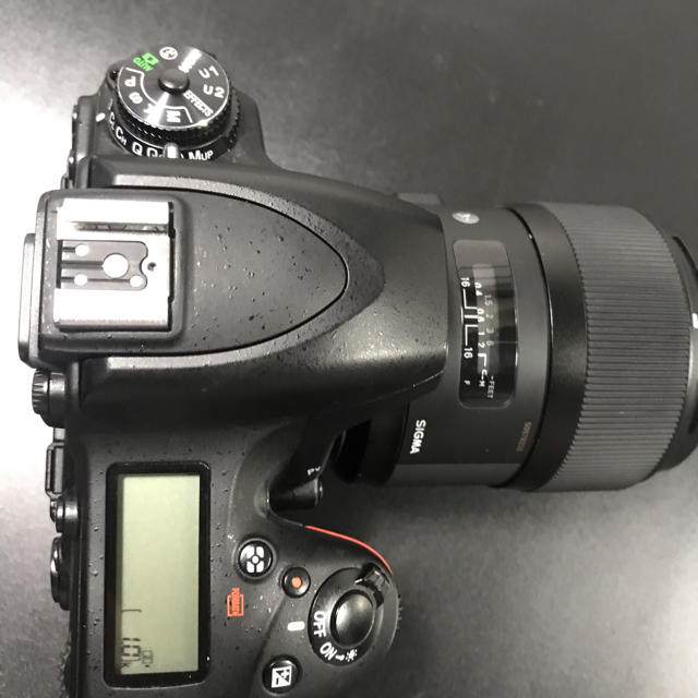 nikon d750 ボディ　とおまけ