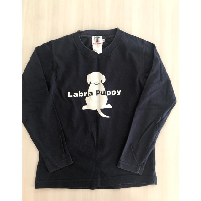 Labrador Retriever(ラブラドールリトリーバー)のLabra Puppy  長袖Tシャツ サイズ130  140 キッズ/ベビー/マタニティのキッズ服男の子用(90cm~)(Tシャツ/カットソー)の商品写真