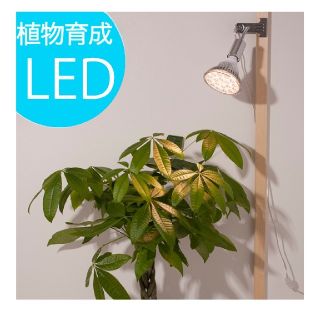 【値下げ】 植物育成 LEDライト アクアリウム 観葉植物 (その他)