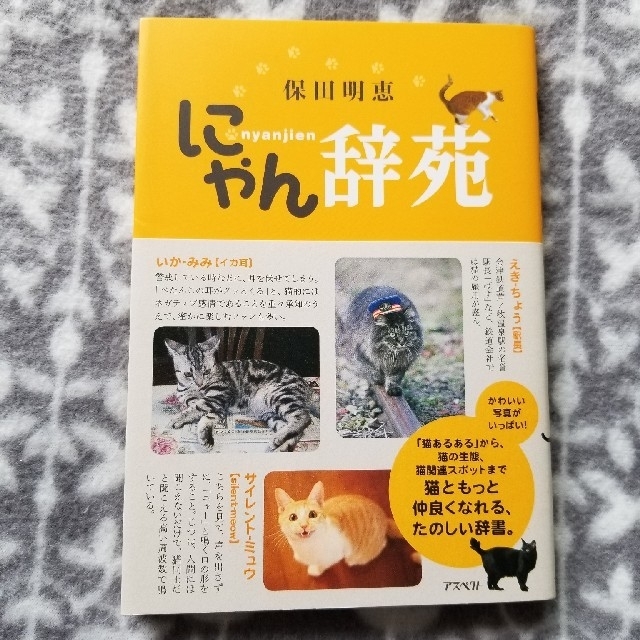 にゃん辞苑 エンタメ/ホビーの本(住まい/暮らし/子育て)の商品写真