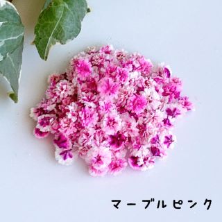 かすみ草　ドライフラワー・マーブルピンクお試し(ドライフラワー)