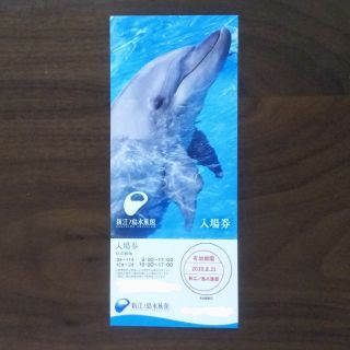 新江ノ島水族館　チケット　大人　11/30まで(水族館)