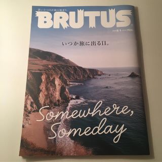 ☆ぢょんぢょん様専用☆BRUTUS (ブルータス) 2020年 5/1号(その他)