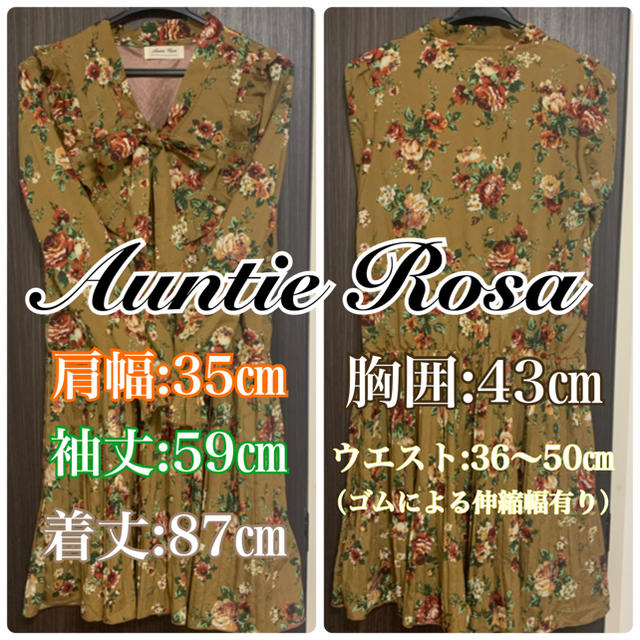 Auntie Rosa(アンティローザ)の【送料込み】ワンピース＆ニット レディースのレディース その他(その他)の商品写真