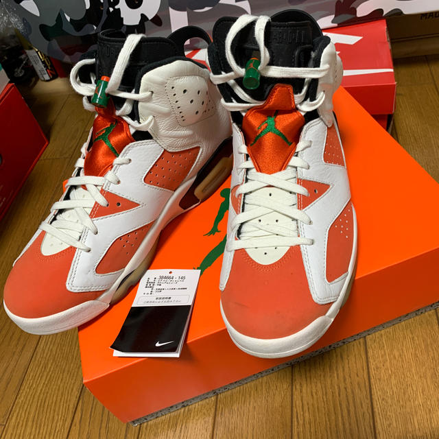 NIKE AIR JORDAN 6 GATORADE　27.5