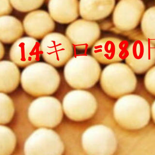 大豆　1.4キロ(豆腐/豆製品)