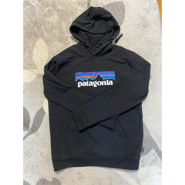 patagonia(パタゴニア)のRkm様専用 メンズのトップス(パーカー)の商品写真