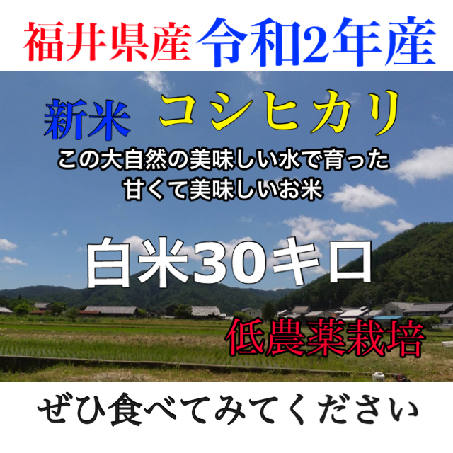 7130円　30キロ　新米コシヒカリ　令和2年産　半額SALE☆