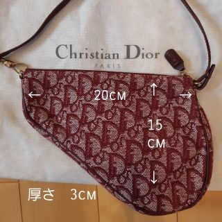 クリスチャンディオール(Christian Dior)の【Christian Dior】サドルバッグ(ハンドバッグ)