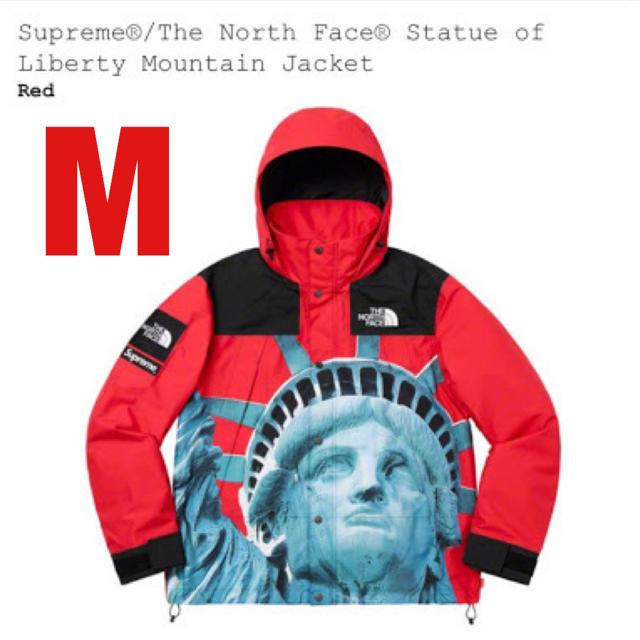 メンズ19aw supreme×north face Mountain Jacket