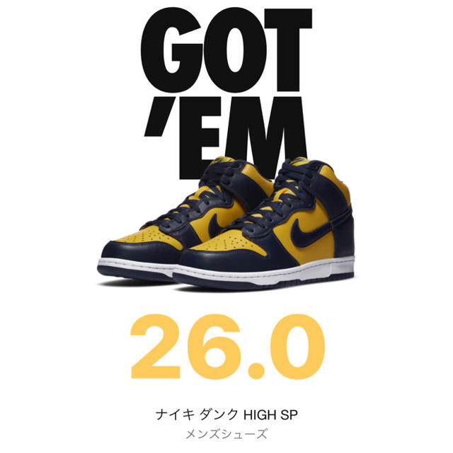 NIKE ダンク HIGH Mazine and Blue 26cm