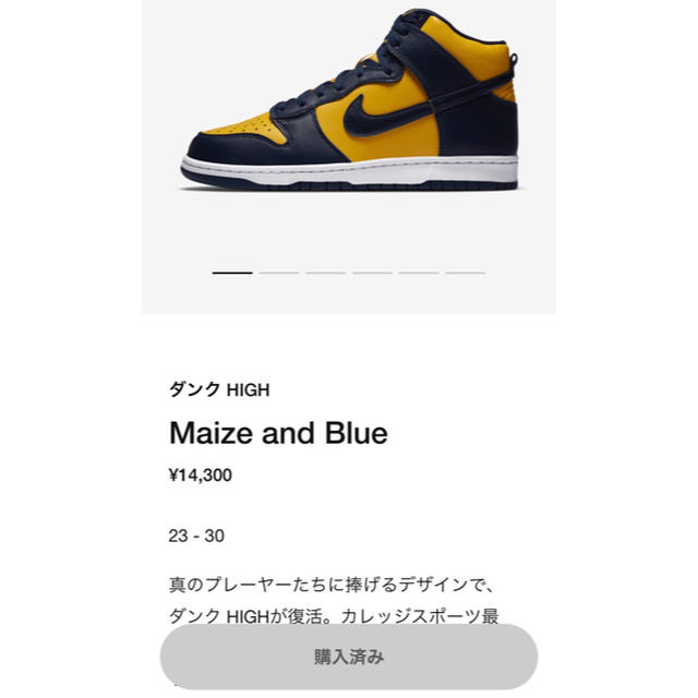 NIKE ダンク HIGH Mazine and Blue 26cm
