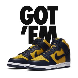 ナイキ(NIKE)のNike dunk high 27cm(スニーカー)