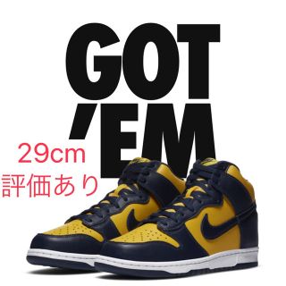 ナイキ(NIKE)のNike SB Dunk High Pro Michigan 29cm(スニーカー)