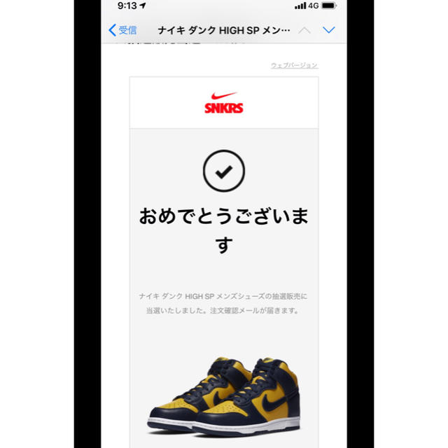 NIKE(ナイキ)のNIKE ダンクHigh ミシガン　28cm メンズの靴/シューズ(スニーカー)の商品写真