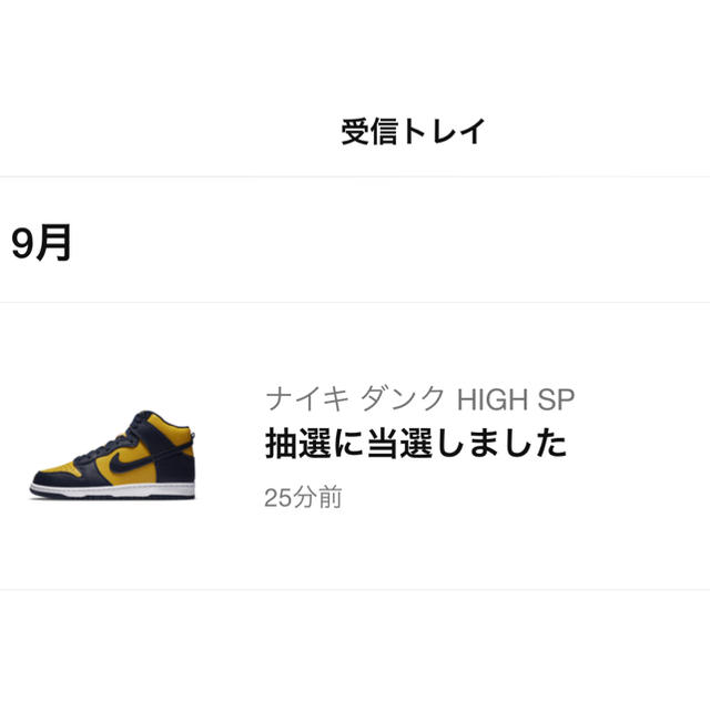 NIKE(ナイキ)のNIKE DUNK HIGH MICHIGAN  ダンク　ミシガン メンズの靴/シューズ(スニーカー)の商品写真