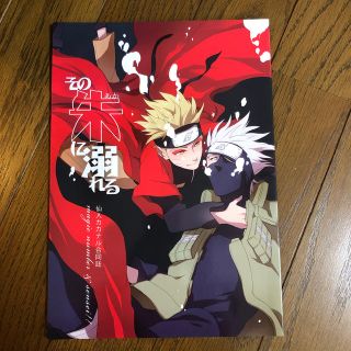 NARUTO 同人誌　カカナル(ボーイズラブ(BL))