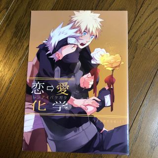 NARUTO 同人誌　カカナル(ボーイズラブ(BL))