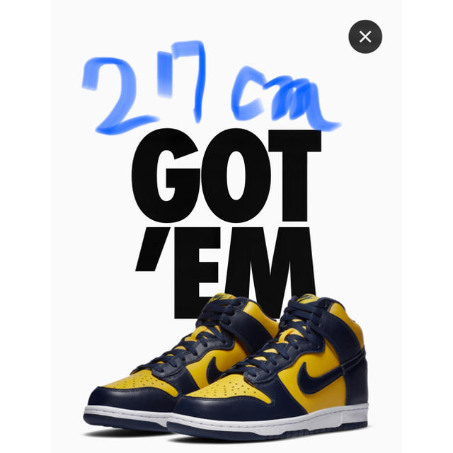 NIKE(ナイキ)のNike Dunk High Michigan 27.0cmナイキ　ダンク　ハイ メンズの靴/シューズ(スニーカー)の商品写真