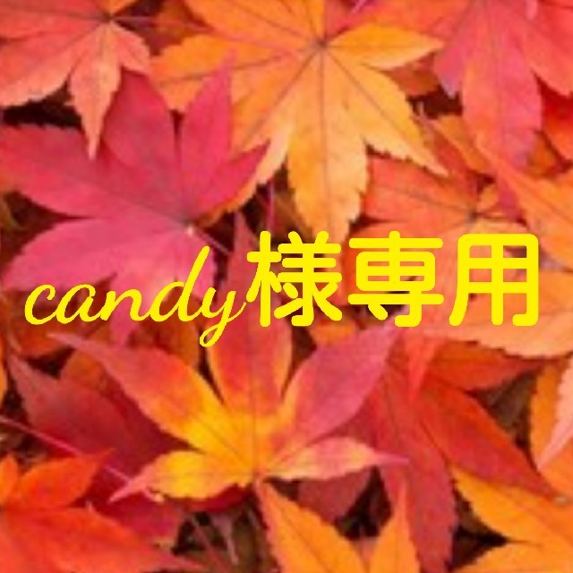 candy様専用の通販 by Toauro's shop｜ラクマ