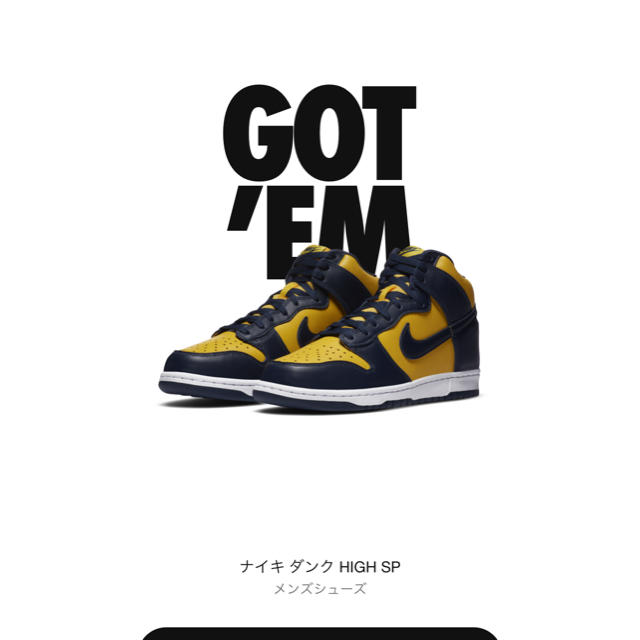 メンズNIKE DUNK HI SP  28.5cm