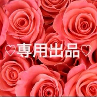 どらみなこ様★専用(その他)