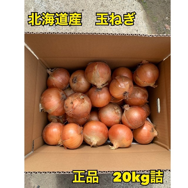 北海道産玉ねぎ20kg 品種北もみじ2000 食品/飲料/酒の食品(野菜)の商品写真
