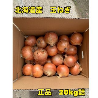 北海道産玉ねぎ20kg 品種北もみじ2000(野菜)