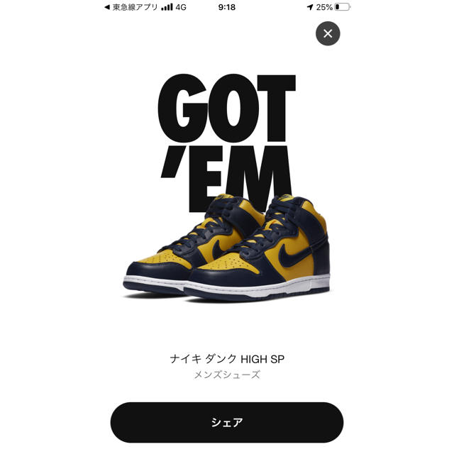 nike dunk high 26.5靴/シューズ