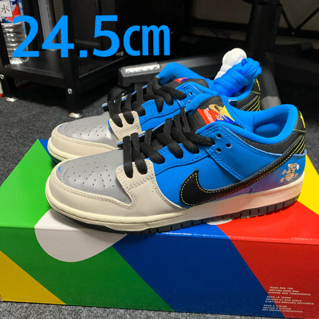 24cm NIKE SB DUNK LOW PRO QS INSTANT