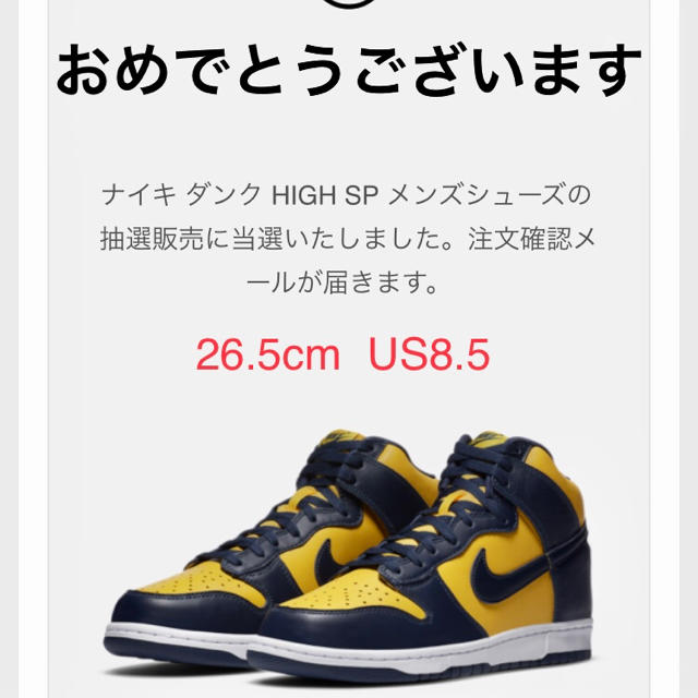 NIKE Dunk High Michigan ナイキ ダンク ハイ ミシガン