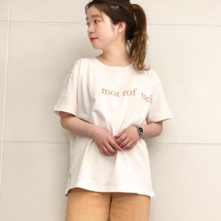 カスタネ(Kastane)の土日のみ限定価格❗️新品カスタネ  フロッキー大ロゴTEE(Tシャツ(半袖/袖なし))