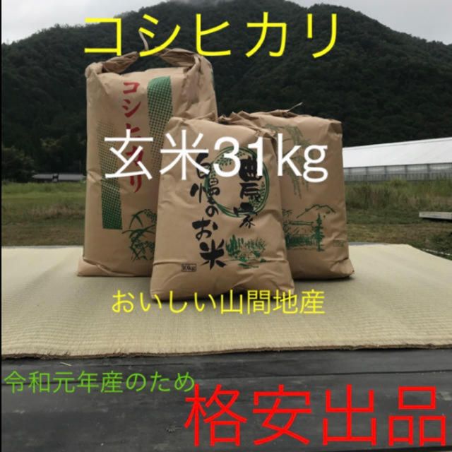 令和元年産　福井県産　コシヒカリ　玄米31キロ