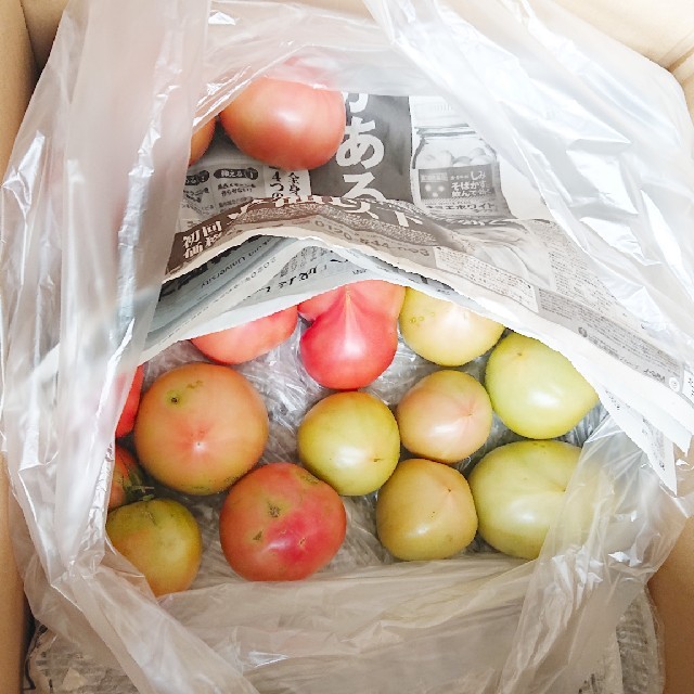 Yuzuki様 専用ページ 規格外トマト 10㎏と24個 食品/飲料/酒の食品(野菜)の商品写真