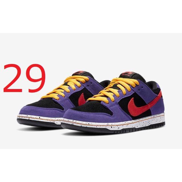 NIKE SB DUNK LOW PRO TERRA ACG 29cm