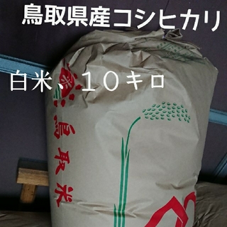 白米１０キロ、令和２年、鳥取県産コシヒカリ(米/穀物)