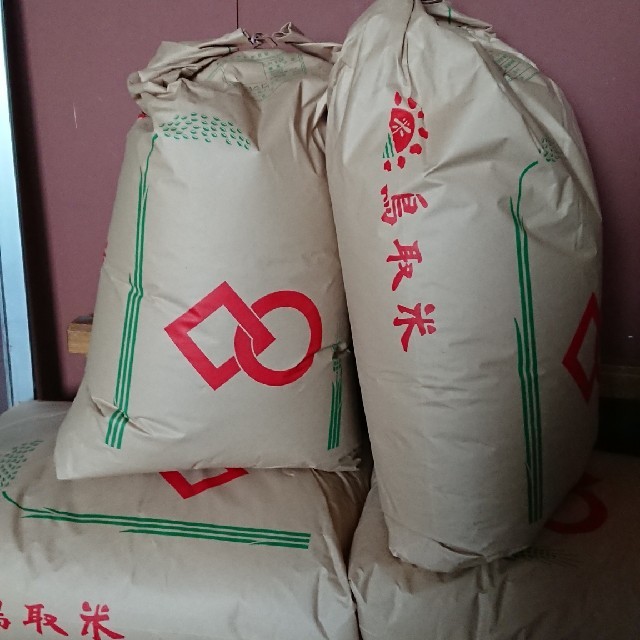 白米２０キロ、令和２年、鳥取県産コシヒカリ　米/穀物
