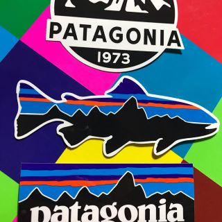 パタゴニア(patagonia)の★最新作★新品未使用　パタゴニア　フィッツロイ柄ステッカー　3枚セットスコープ(その他)