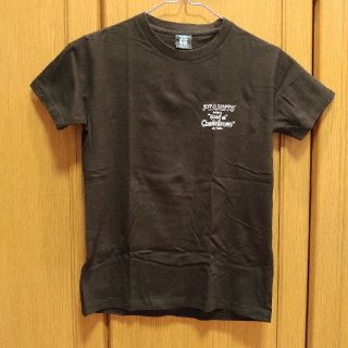 ステューシー(STUSSY)のSTUSSY　ステューシー　Tシャツ　150(Tシャツ/カットソー)