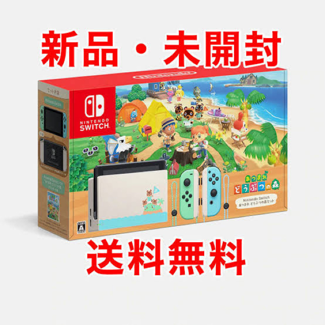 ゲームソフト/ゲーム機本体Nintendo Switch あつまれどうぶつの森セット